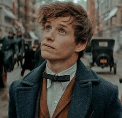 newt scamander